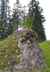 Allgaeu 2009