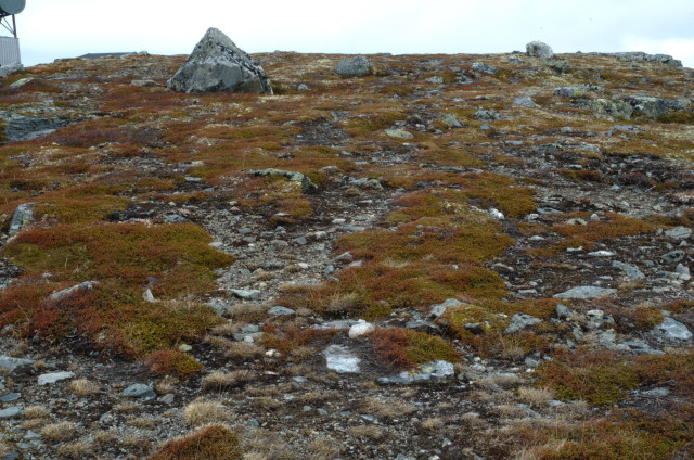 Norge07LT_006