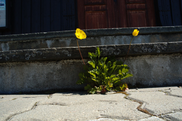 Norge07LT_013