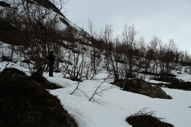 Norge07LT_016