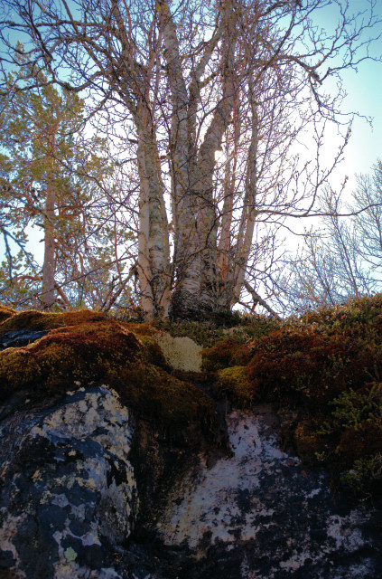 Norge07LT_027