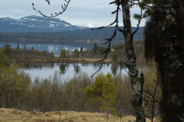 Norge07LT_064