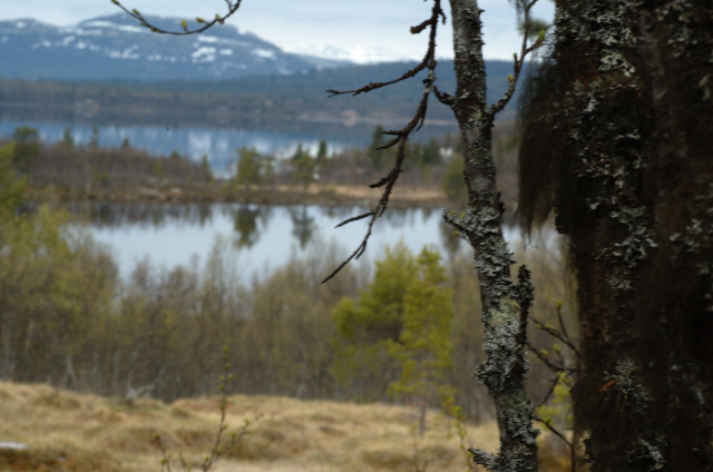 Norge07LT_065