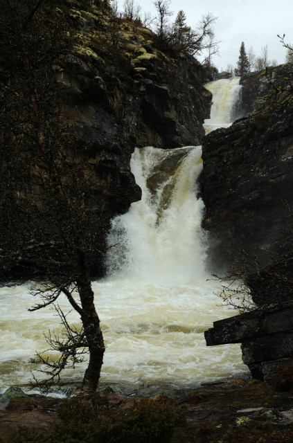 Norge07LT_087