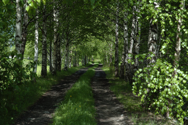 Norge07LT_096