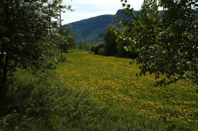 Norge07LT_097