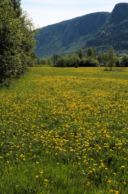 Norge07LT_098