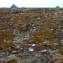 Norge07LT_006