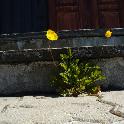 Norge07LT_013