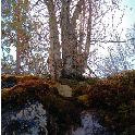 Norge07LT_027