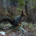Norge07LT_036