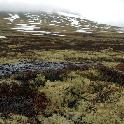 Norge07LT_091