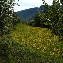 Norge07LT_097