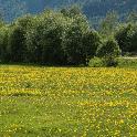 Norge07LT_099