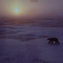 Norge07LT_204
