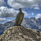 Trentino2015